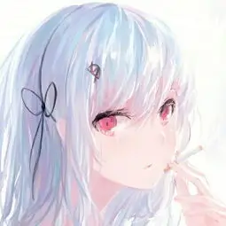 用户 十七帧 头像